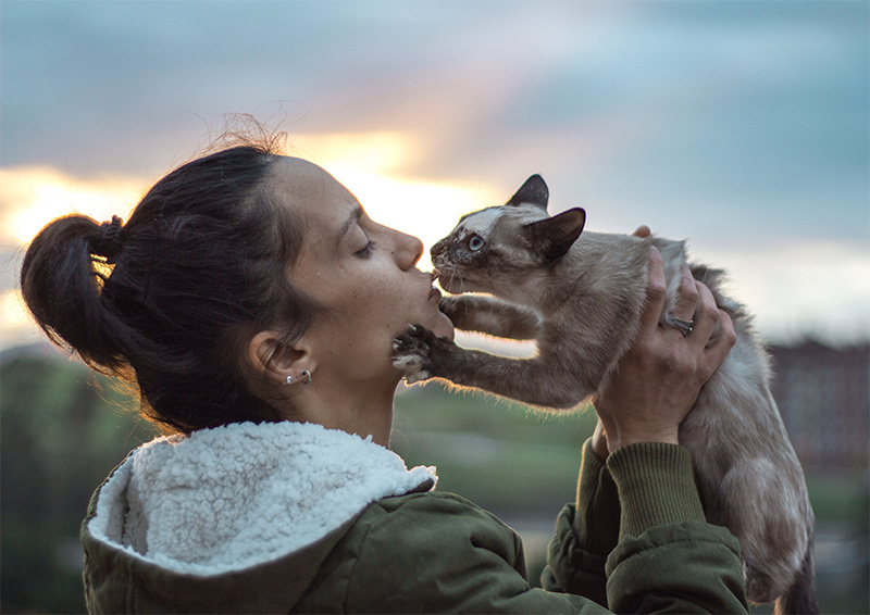 nainen antamassa suukkoa kissalle